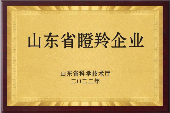 ɽ��ʡ������ҵ